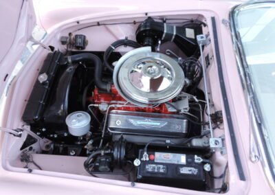 1957 Dusk Rose Thunderbird-Engine